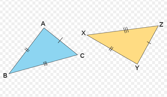 <p>SSS similarity</p>