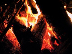 <p>a piece of burning wood; troublemaker; an extremely energetic or emotional person (noun)</p>
