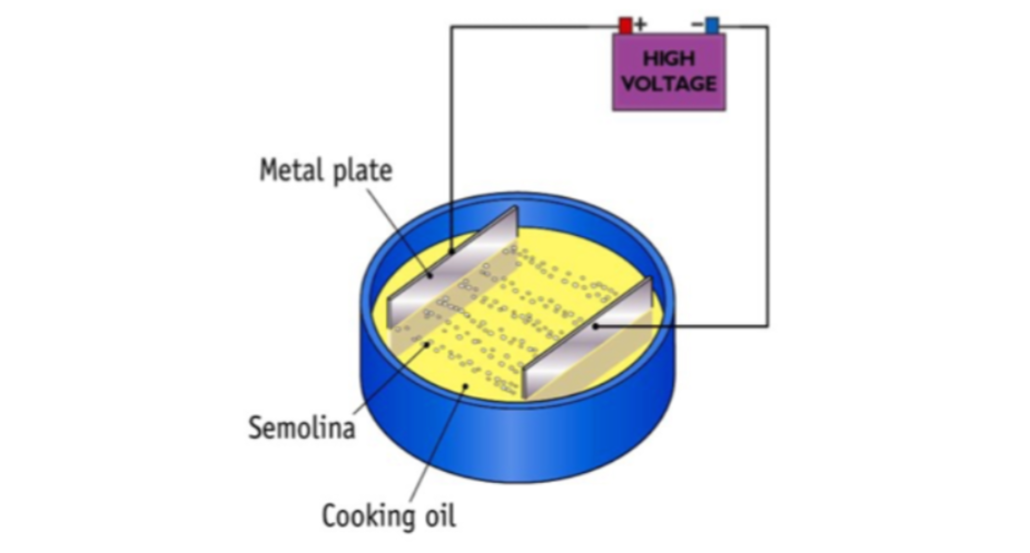 <p>Demonstrate Electric Fields • 1</p>
