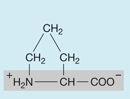 <p>hydrophobic (nonpolar)</p>