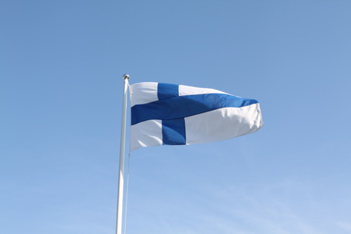 <p>finska flaggan</p>