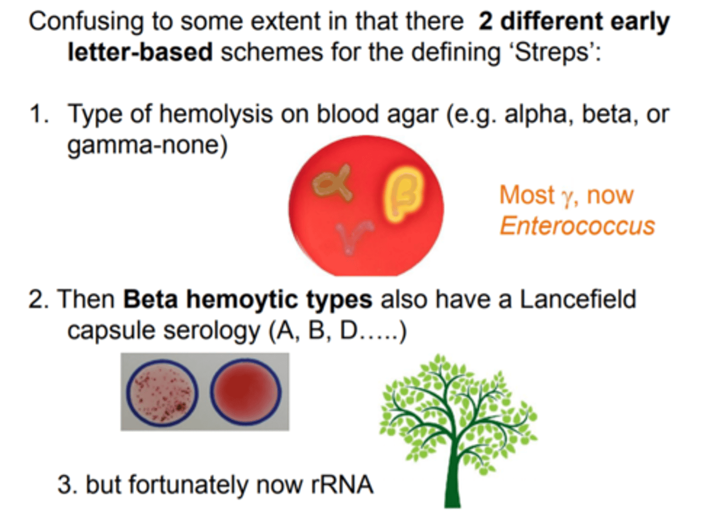 <p>-Alpha (normal cells)</p><p>-Beta (hemolytic properties) </p><p>-Gamma (no hemolytic)</p><p>Beta hemolytic types have lancefield capsule serology (A, B, C) </p>