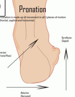 Movement of foot in 3 different planes (frontal, sagittal, and horizontal); Eversion, dorsiflexion, abduction