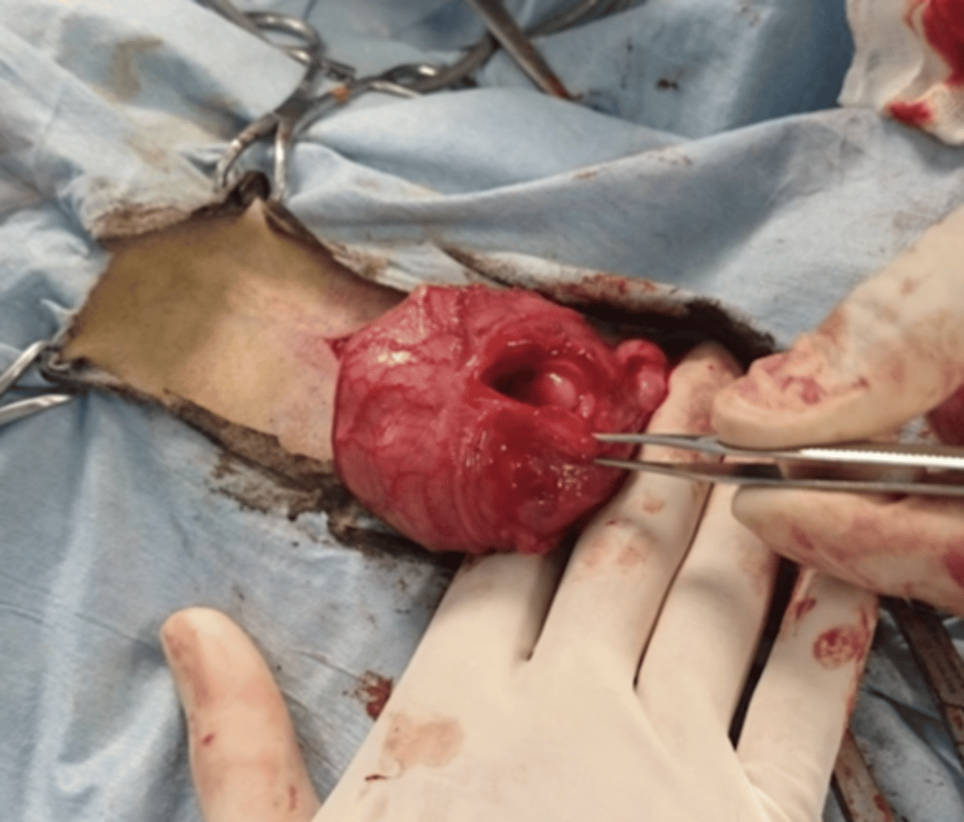 <p>what is the name for this operation?</p>