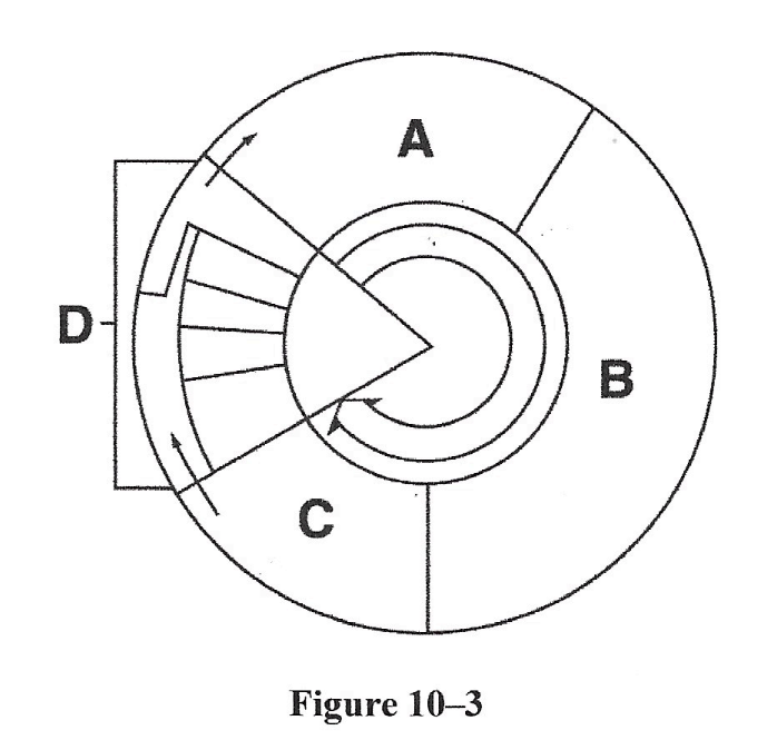 <p>Cell division is represented in Figure 10-3 by the letter</p>