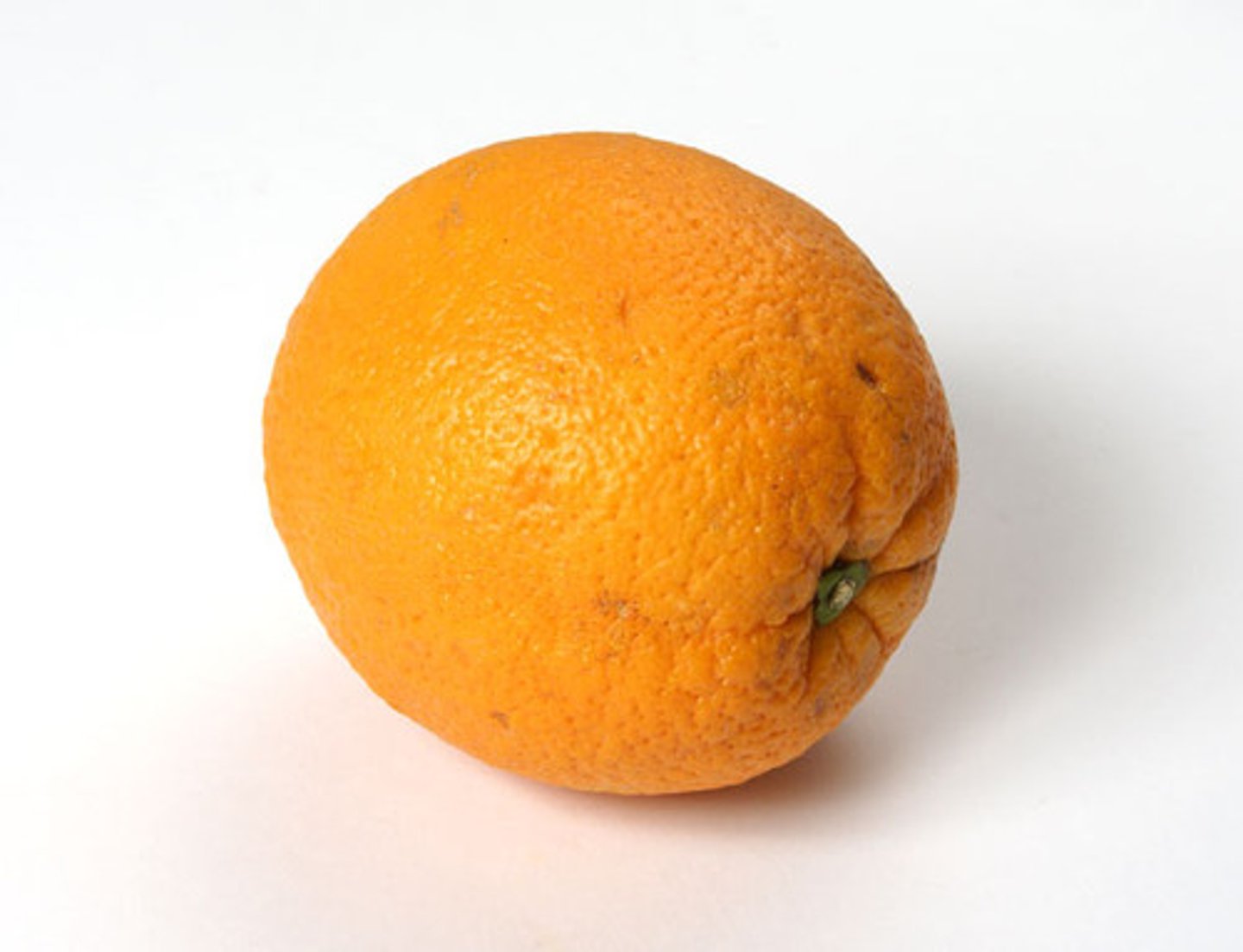 <p>an orange</p>