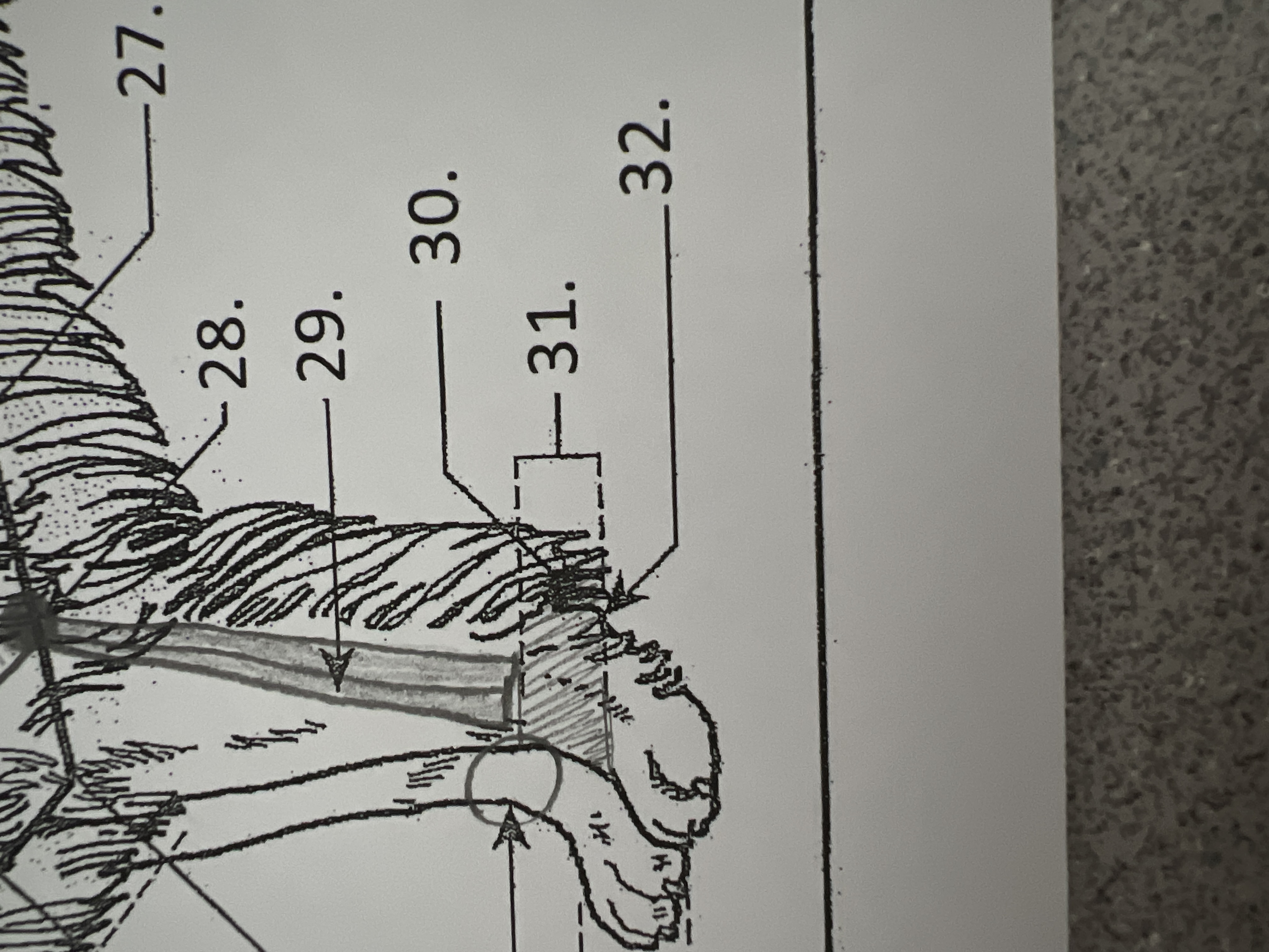 
32. \
