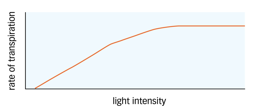 <p><span>The rate of transpiration increases as light intensity increases because of the opening of the stomata for gas exchange for photosynthesis</span></p>