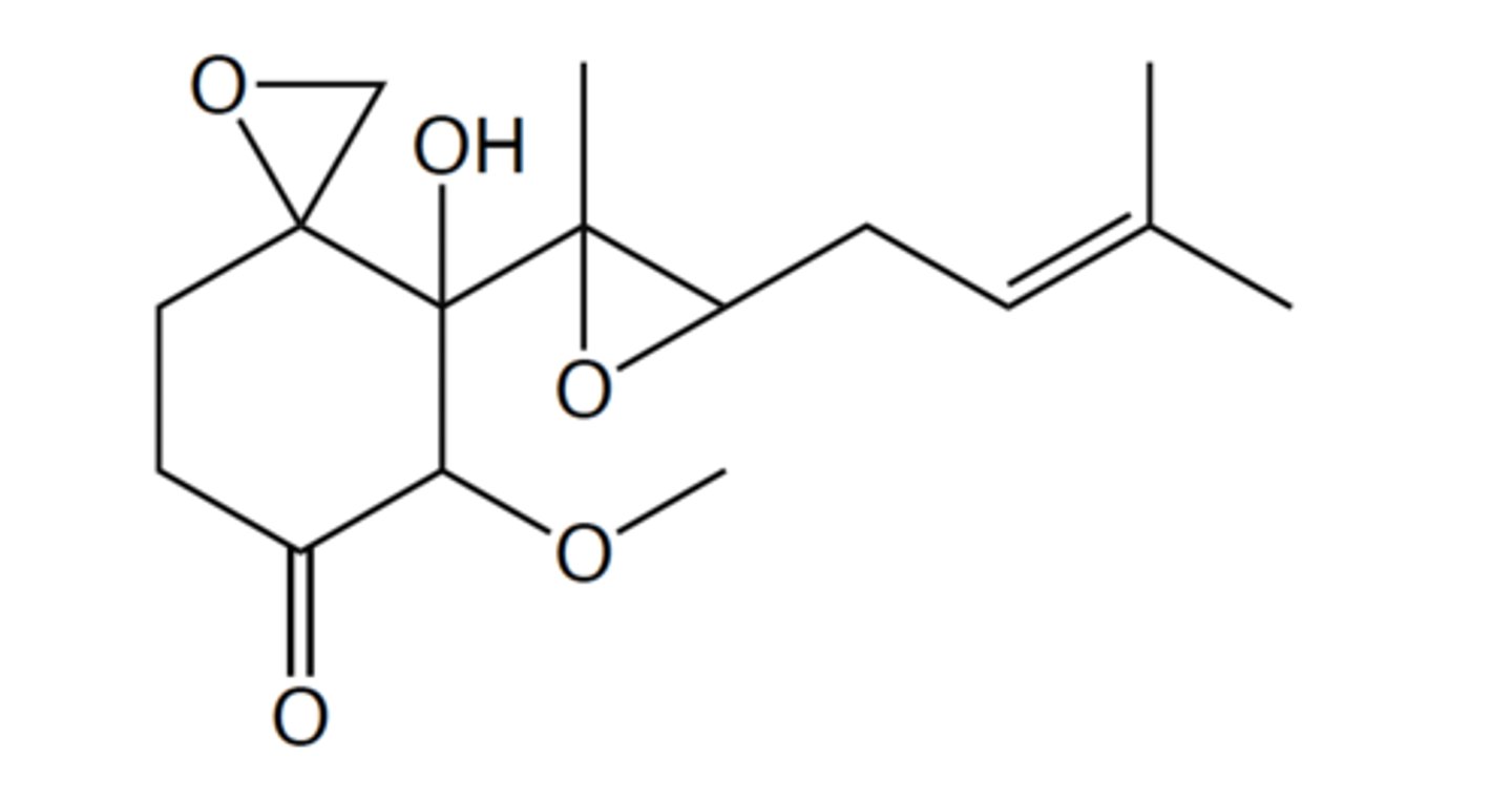 <p>Ester is not present</p>