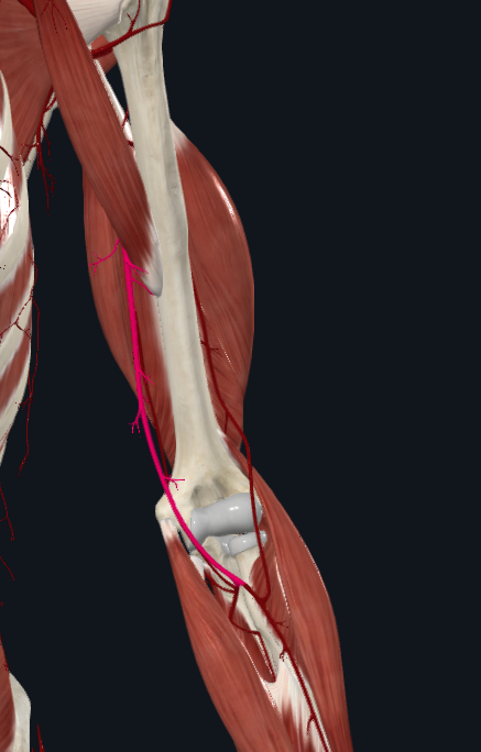 <p>What is highlighted</p>