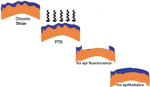 <p>PTK, forkortelse</p>