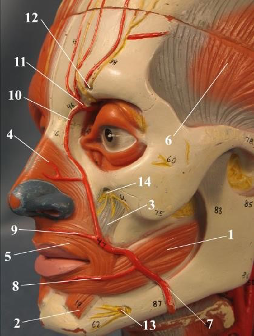 <p>1</p>