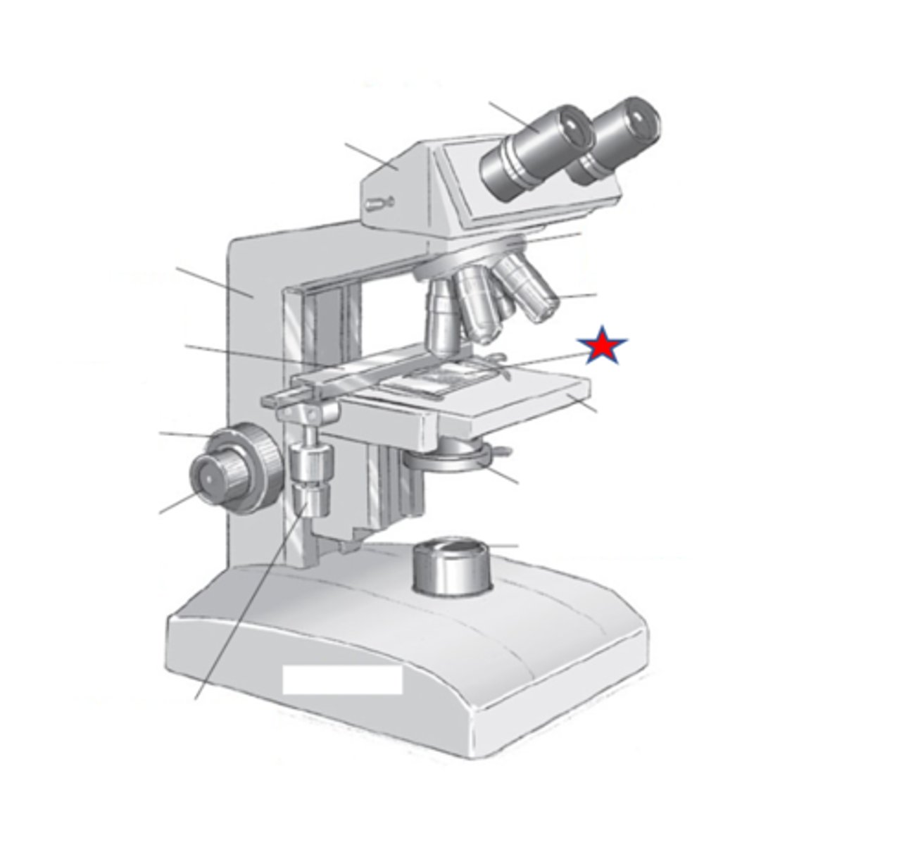 <p>Name the starred region in the image.</p>