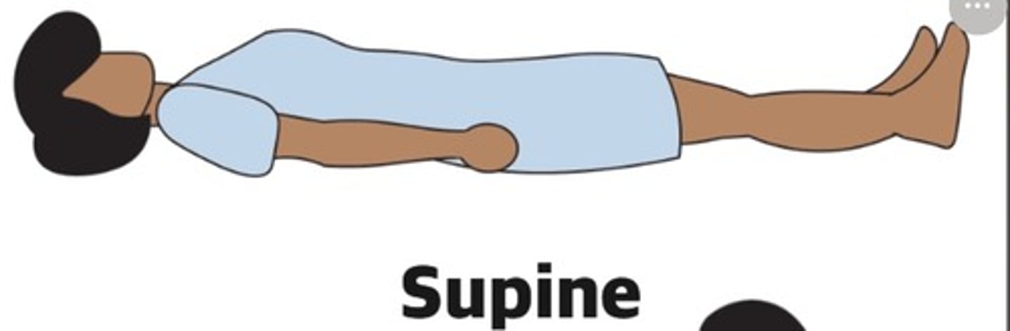 <p>Supine (vascular)</p>