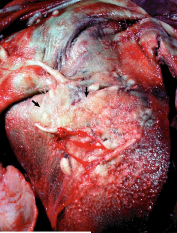 <p>What is this showing?</p>