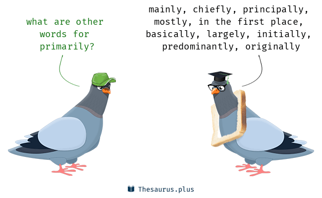 <p><span style="background-color: transparent;">primarily</span></p>