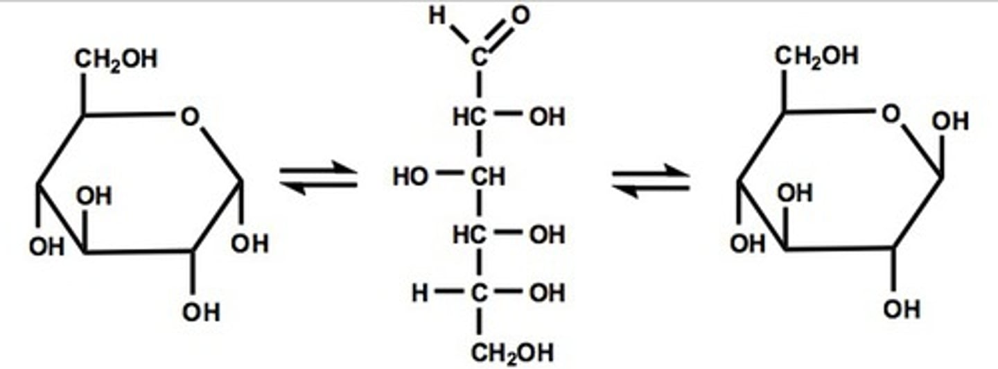 <p>spontaneous change of conformation</p>