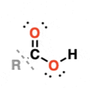 <p>R-COOH</p><p>Double bond O</p>