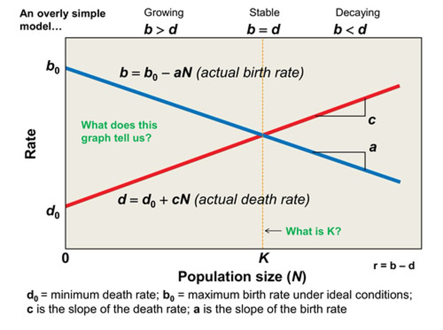 <p>c = slope of death rate</p><p>a = slope of birth rate</p>