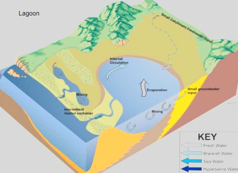 <p><span>Shallow water bodies separated from the ocean by a barrier, connected at least intermittently to the ocean by one or more restricted inlets, and usually oriented shore-parallel</span></p>