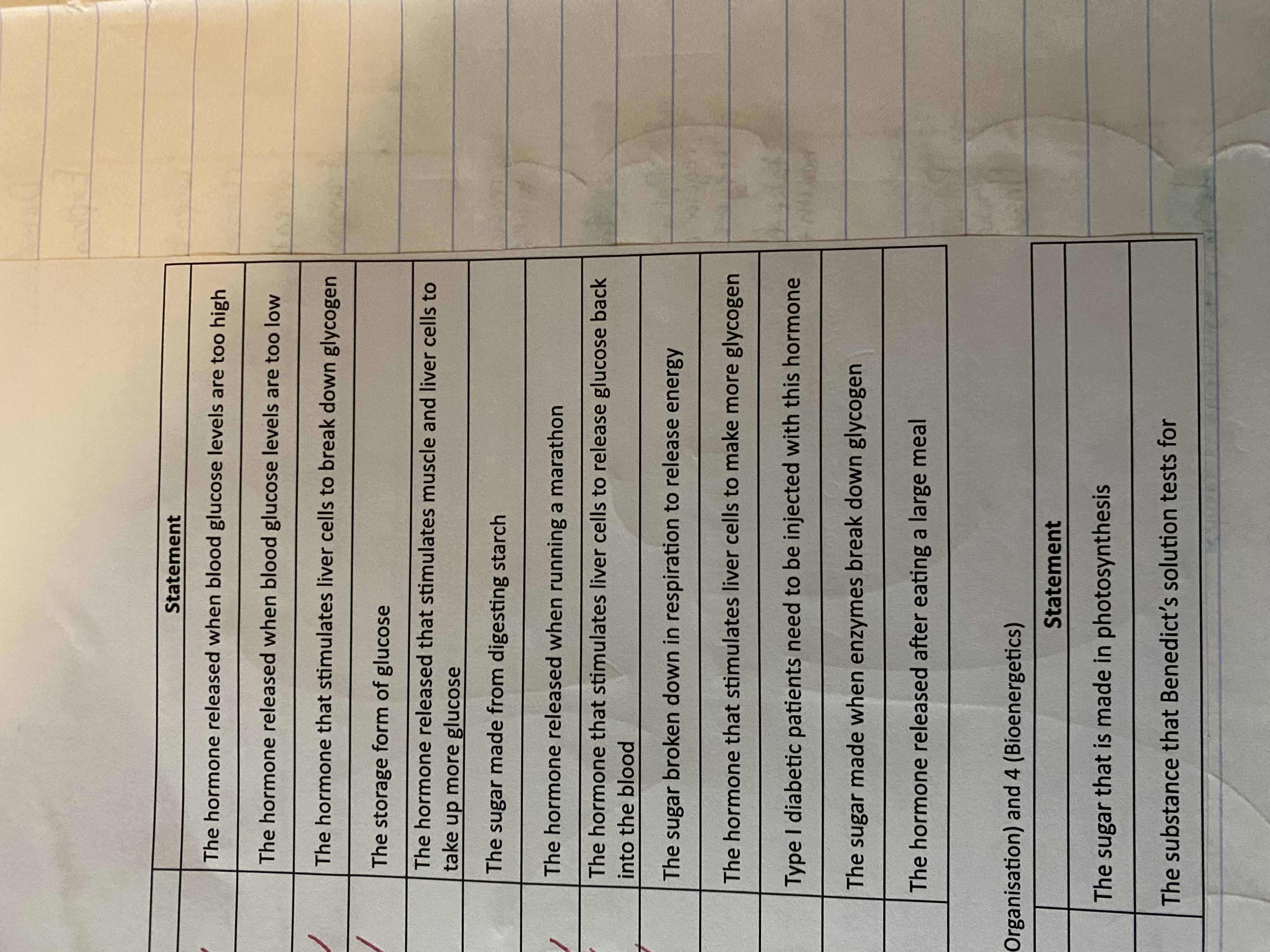 <p>is it</p><p>glucagon</p><p>glucose</p><p>glycogen</p><p>insulin</p>