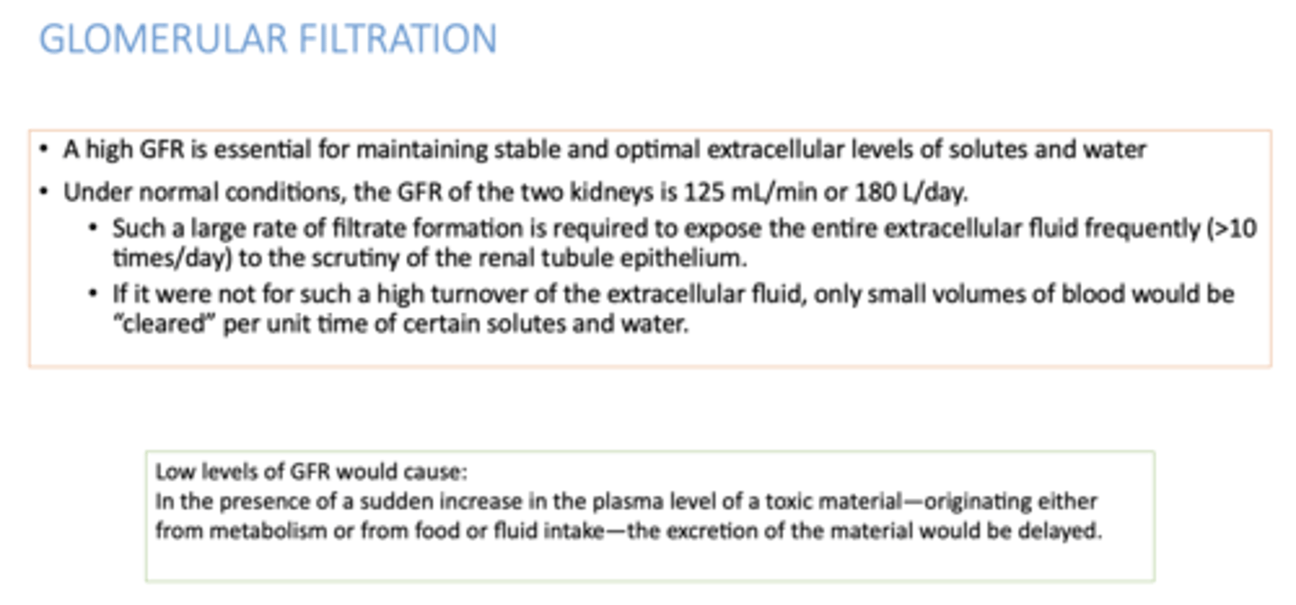 <p>125 mL/min or 180 L/day</p>