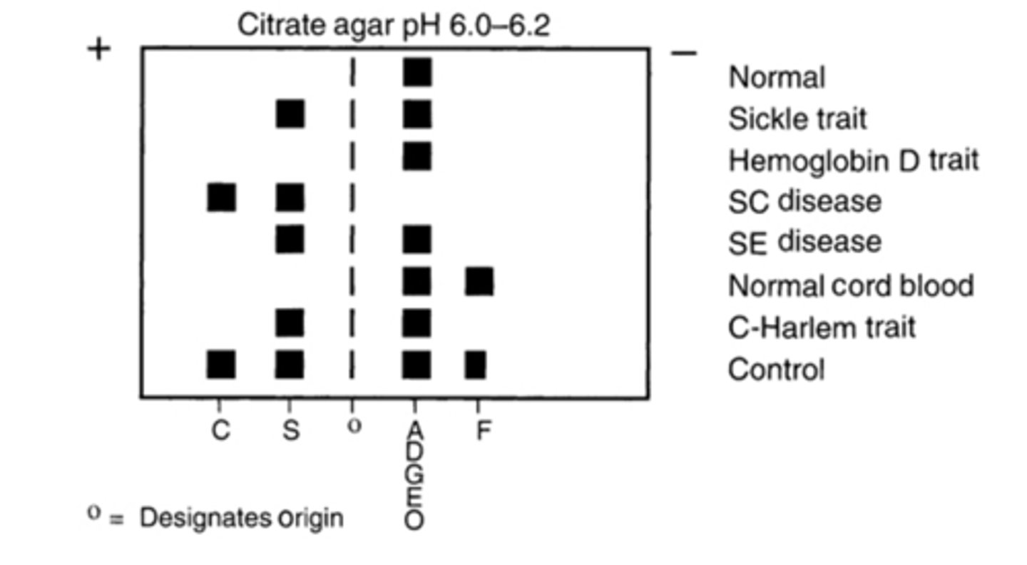 <p>Separates C from E and S from DGE</p>