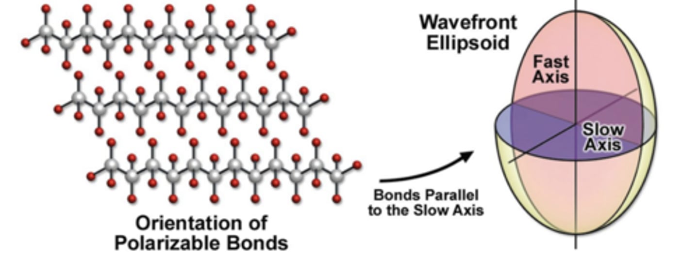 <p>an elliptical wave front with a "slow" and "fast" axis</p>
