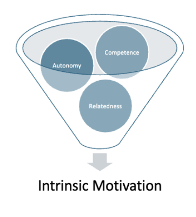 <ul><li><p><span style="color: rgb(255, 255, 255)">self-determination theory assumptions</span></p><ul><li><p><span style="color: rgb(255, 255, 255)">people are naturally curious and motivated to explore their environments and succeed, which can either be supported or impeded by social environments</span></p></li></ul></li><li><p><span style="color: rgb(255, 255, 255)">3 basic psychological needs support intrinsic motivation</span></p><ul><li><p><span style="color: rgb(255, 255, 255)"><strong>competence:</strong> feeling effective in one’s ability to develop mastery in activities that are optimally challenging and that further develop one’s capacities; confidence in abilities and capacity to achieve goals</span></p><ul><li><p>support perceptions of competence by providing feedback about success + making sure the task is the right level of challenge (where success is possible)</p></li></ul></li><li><p><span style="color: rgb(255, 255, 255)"><strong>autonomy:</strong> exercising choice in one's behavior out of their own volition/will; "an experience of volition and integrity, the sense that one’s behavior is authentic and self-organized, rather than internally conflicted and pressured or externally coerced"</span></p><ul><li><p>studying because you value the information vs studying to get a good grade, or to avoid embarrassment </p></li></ul></li><li><p><span style="color: rgb(255, 255, 255)"><strong>relatedness</strong>: feeling connected with others and having satisfying social relationships improves intrinsic motivation </span></p></li></ul></li><li><p><span style="color: rgb(255, 255, 255)"><u>anterior insula</u> (relates to how we feel about ourselves within our environment) and the <u>rewards system</u> are both activated when our basic psychological needs are met </span></p></li></ul><p></p>
