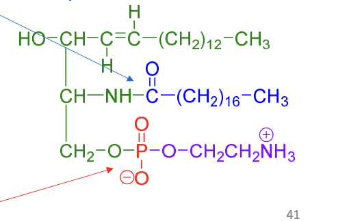 <p>what does the green represent </p>