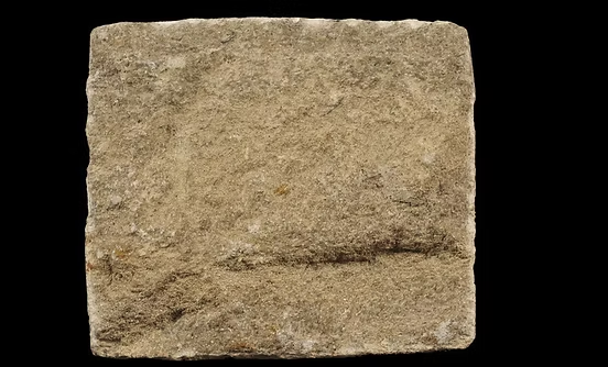 <p>Sedimentary, not made up of other rocks, reacts to HCl, oolitic</p>