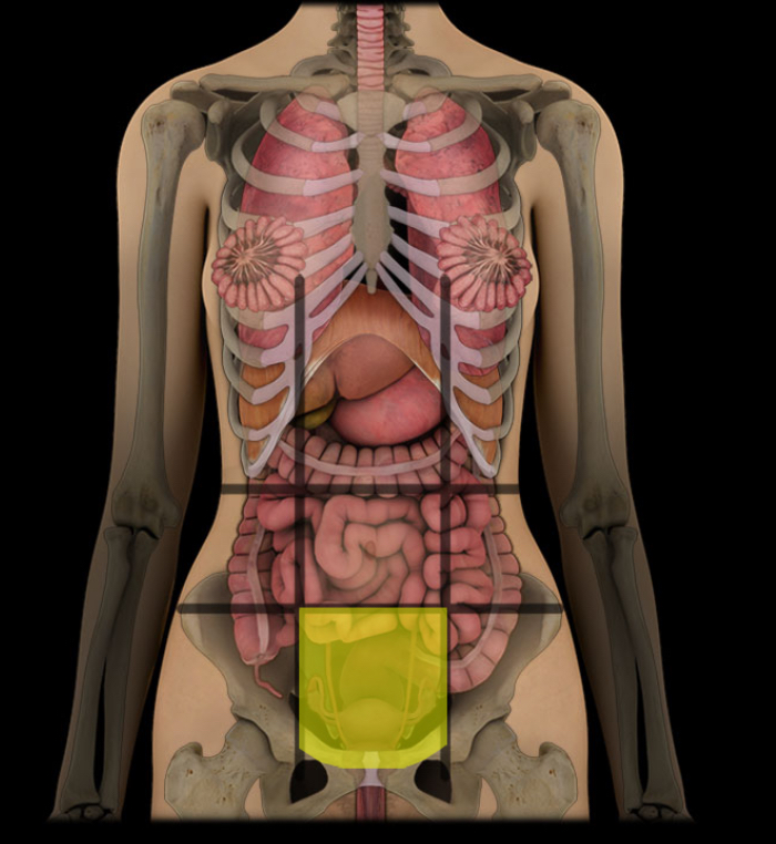 term image
