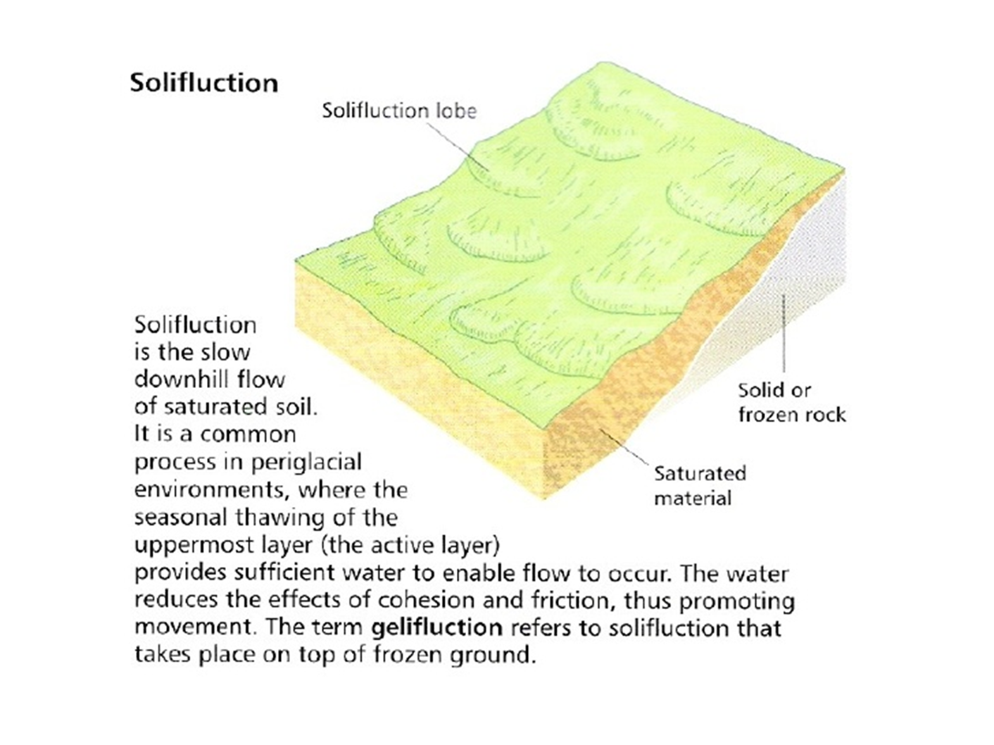 <p>Solifluction is the slow downhill flow of saturated soil. It is a common process in periglacial environments, where the seasonal thawing of the uppermost layer (the active layer) provides sufficient water to enable flow to occur. The water reduces the effects of cohesion and friction, thus promoting movement. The term gelifluction refers to solifluction that takes place on top of frozen ground. </p>