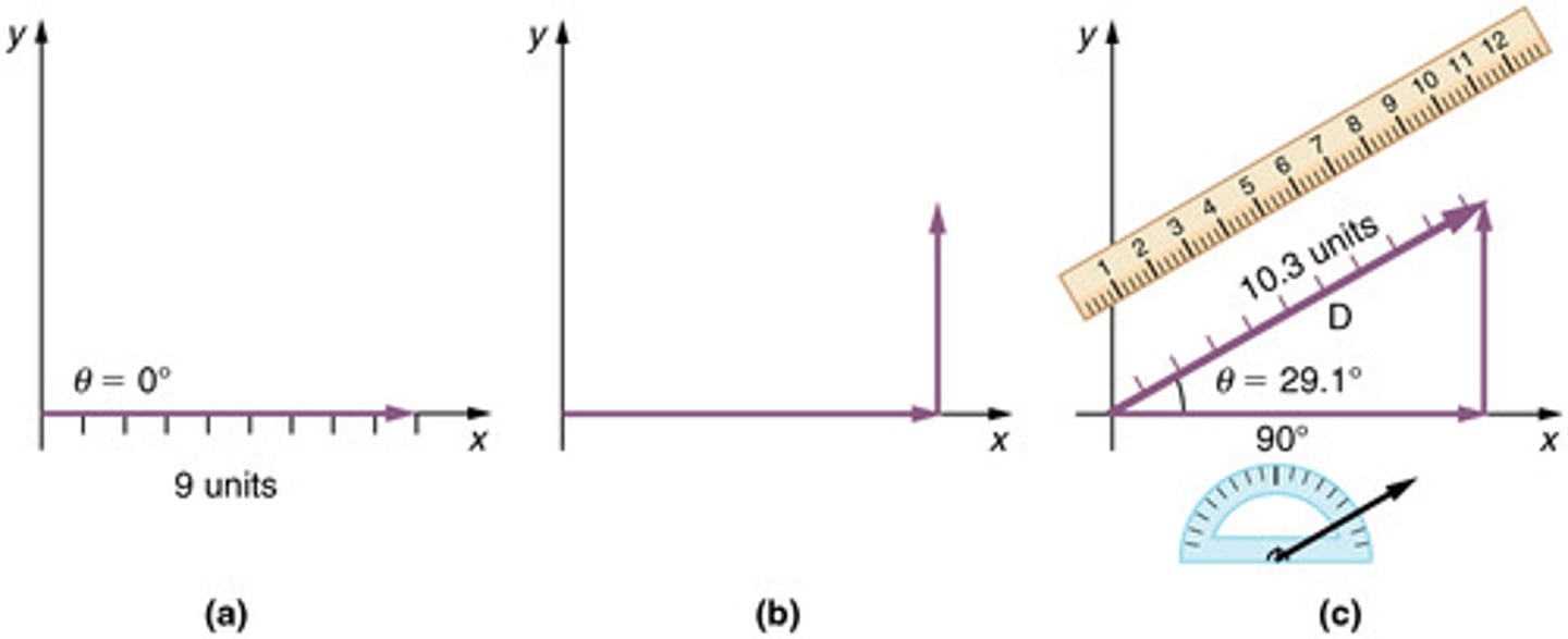 <p>A graphical method for adding vectors by placing the tail of each subsequent vector at the head of the previous vector.</p>