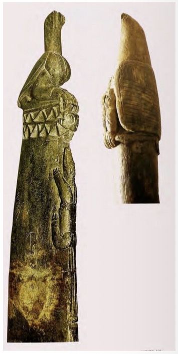 term image