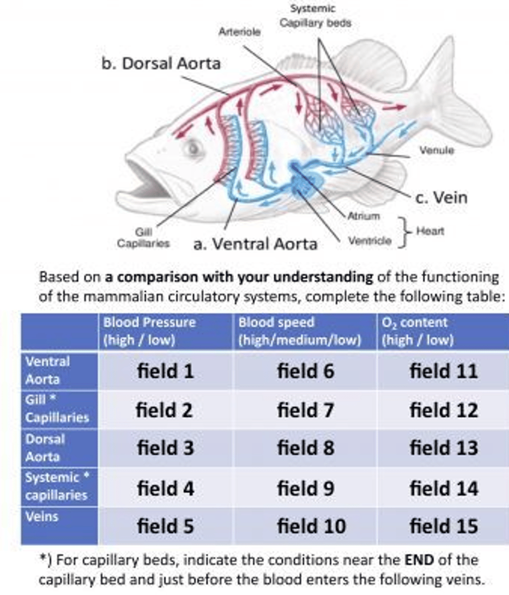 <p>field 1 → high,</p><p>field 2 → low,</p><p>field 3 → low,</p><p>field 4 → low,</p><p>field 5 → low,</p><p>field 6 → high,</p><p>field 7 → low,</p><p>field 8 → low,</p><p>field 9 → low,</p><p>field 10 → low,</p><p>field 11 → low,</p><p>field 12 → high,</p><p>field 13 → high,</p><p>field 14 → low,</p><p>field 15 → low</p>