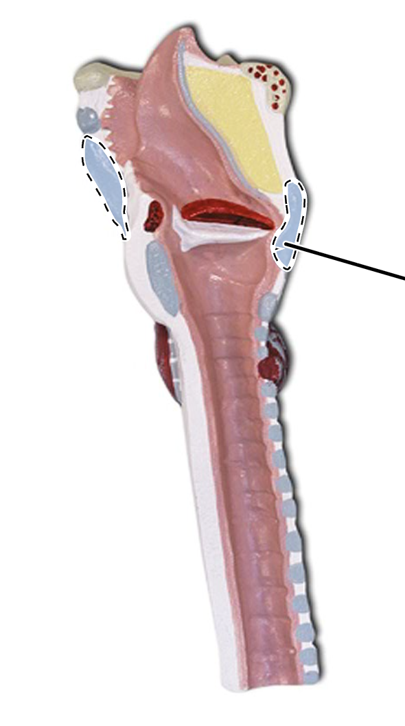 <p>What is this?</p>