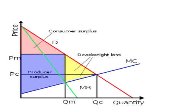 <ul><li><p>so monopolies take surplus away from consumers and also reduces surpluses ( welfare) to society</p></li></ul>