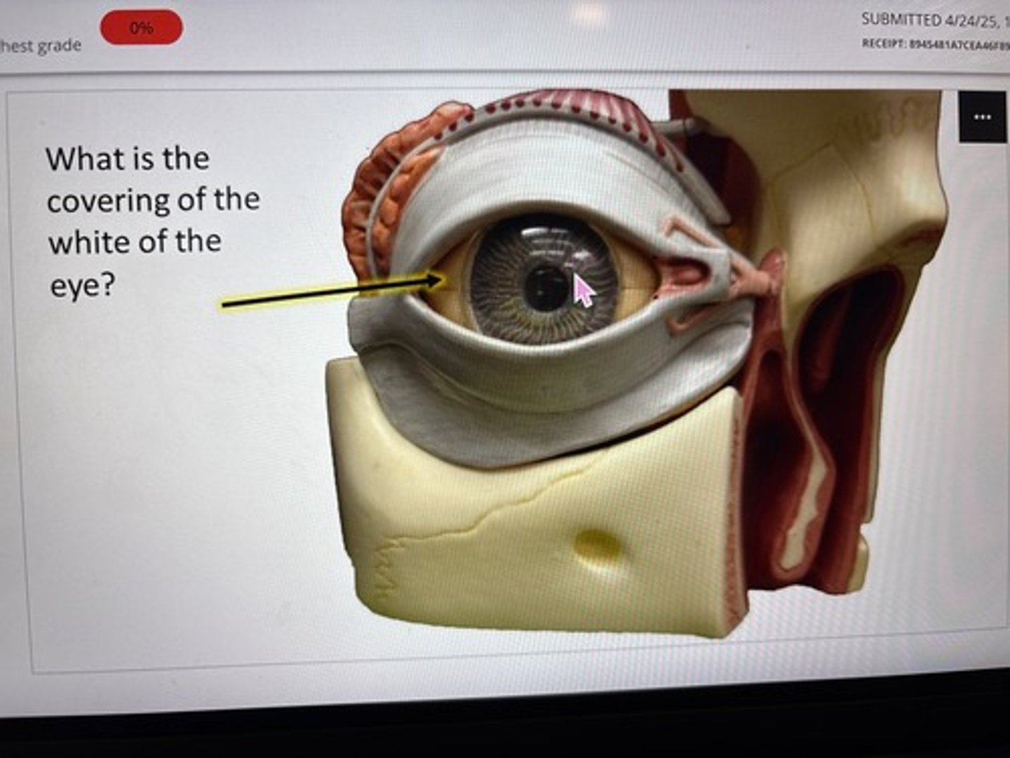 knowt flashcard image