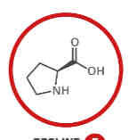 <p>What amino acid is this?</p>