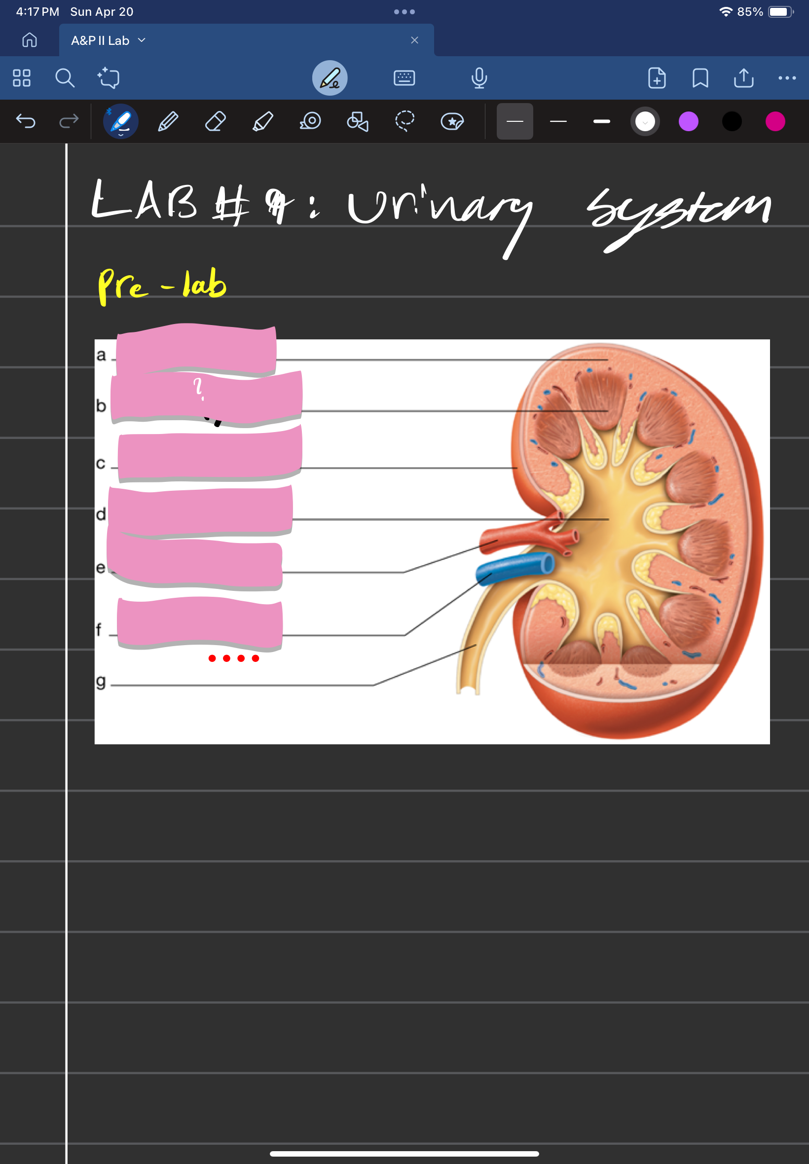 knowt flashcard image