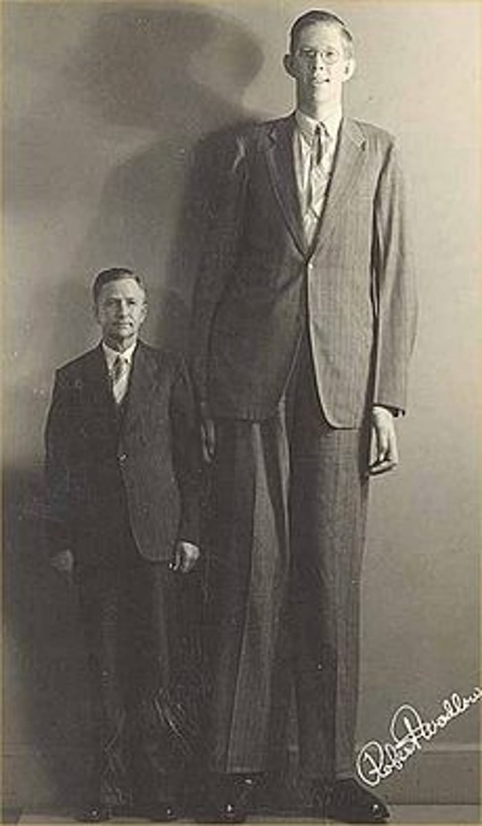 <p>Gigantism is caused by excess growth hormone in childhood, usually from a pituitary gland tumor.</p><p>Symptoms include extremely rapid growth in height, enlarged hands and feet, thick facial features, joint pain, headaches, vision problems, and delayed puberty.</p>