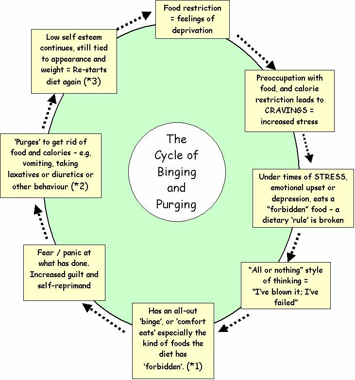 <p>Bulimia =“Ox hunger”'</p><p>An eating disorder in which large quantities of food are consumed over a short time period, refered to as a binge. <span><span>A great desire to get rid of the excess calories, usually through purging (vomiting) or the use of laxatives.</span></span></p><p></p><p></p>