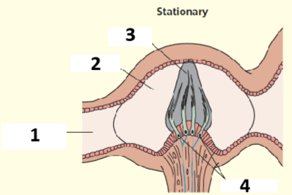 <p>Balance: 1,2,3,4</p>
