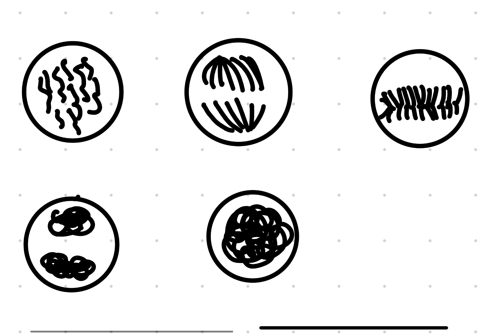 <p>Label each diagram</p>