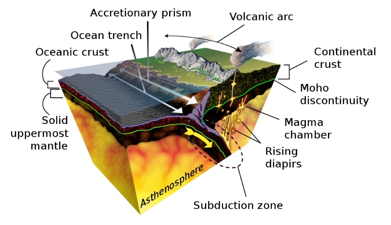 <p>Subduction refers to the plunging of one plate beneath another.</p><p>Subduction is a geological process where one tectonic plate moves beneath another plate at a convergent boundary. This occurs when one plate is denser than the other, causing it to sink into the Earth's mantle. Subduction zones are associated with volcanic activity and the formation of mountain ranges.</p><p>—Page 165 workbook.—</p>