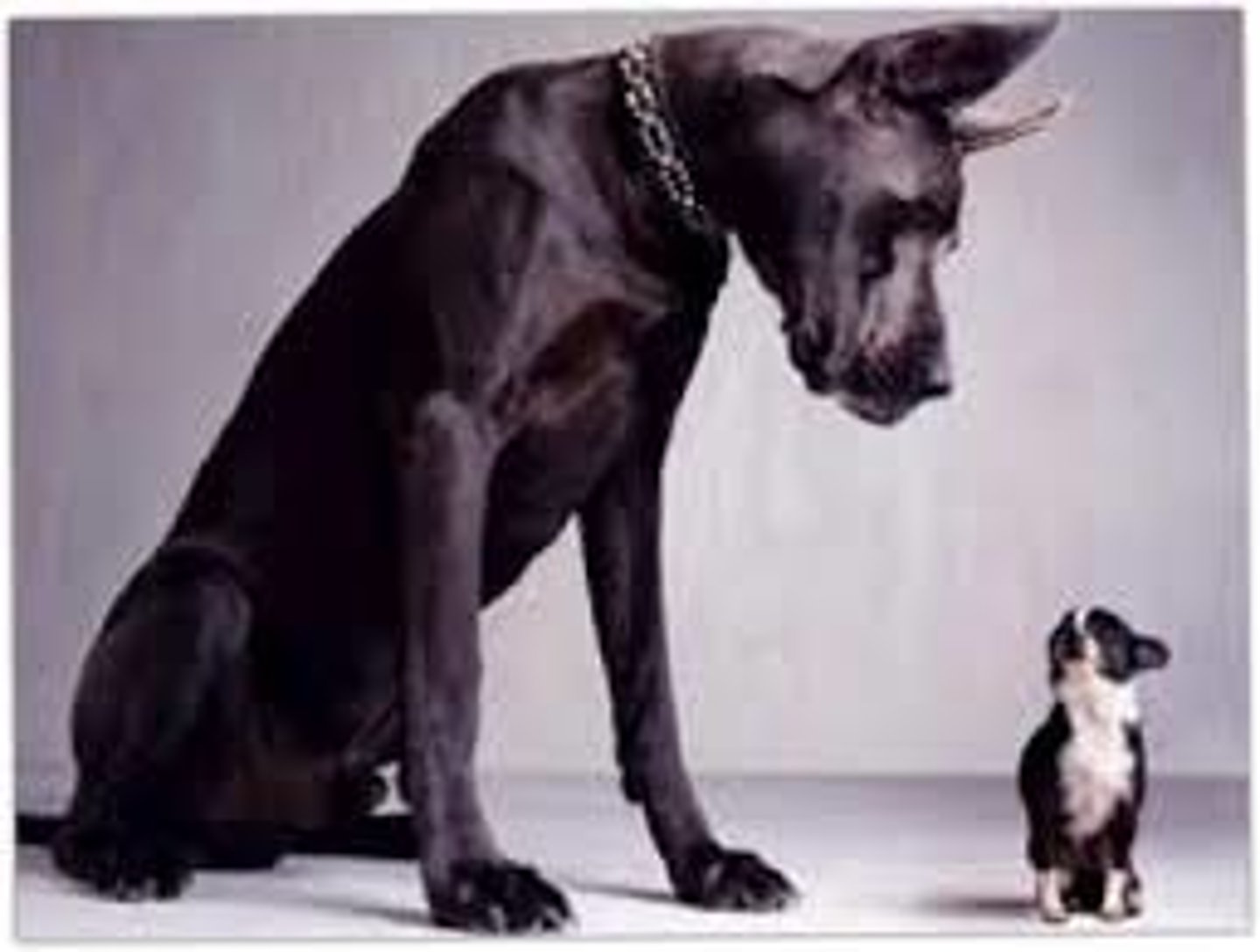 <p>Intimidating or discouraging</p>