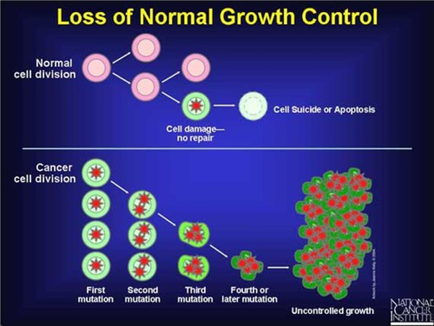 <p>Distinct features differentiating cancer from normal cells.</p>