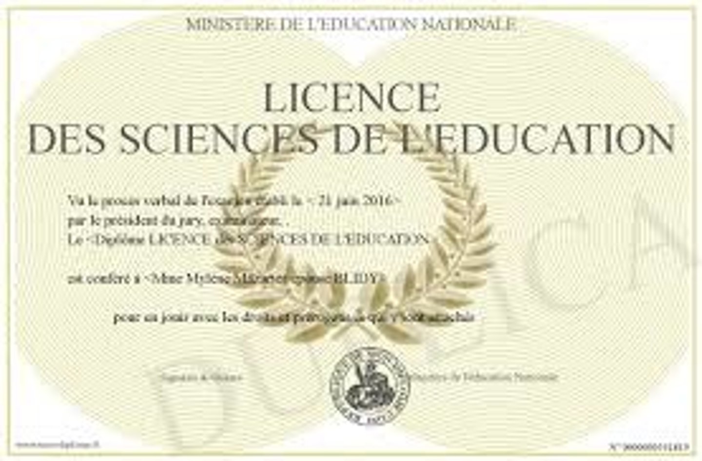 <p>Le diplôme bac + 3 années d'études</p>