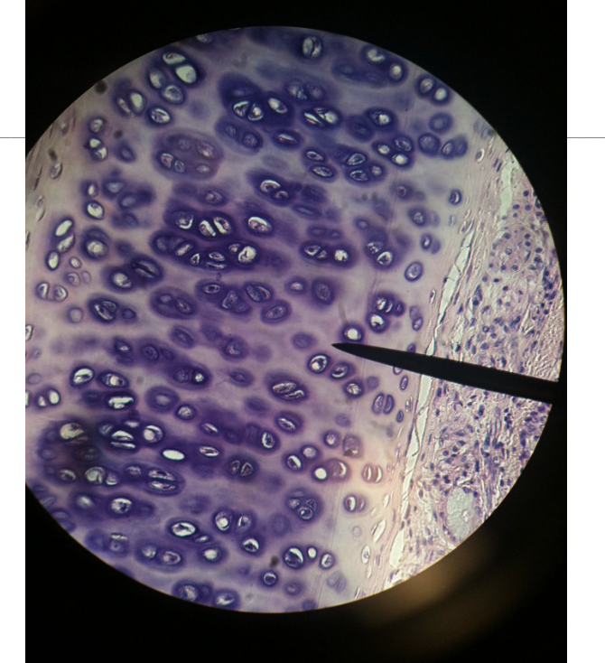 <p>what is this?</p>